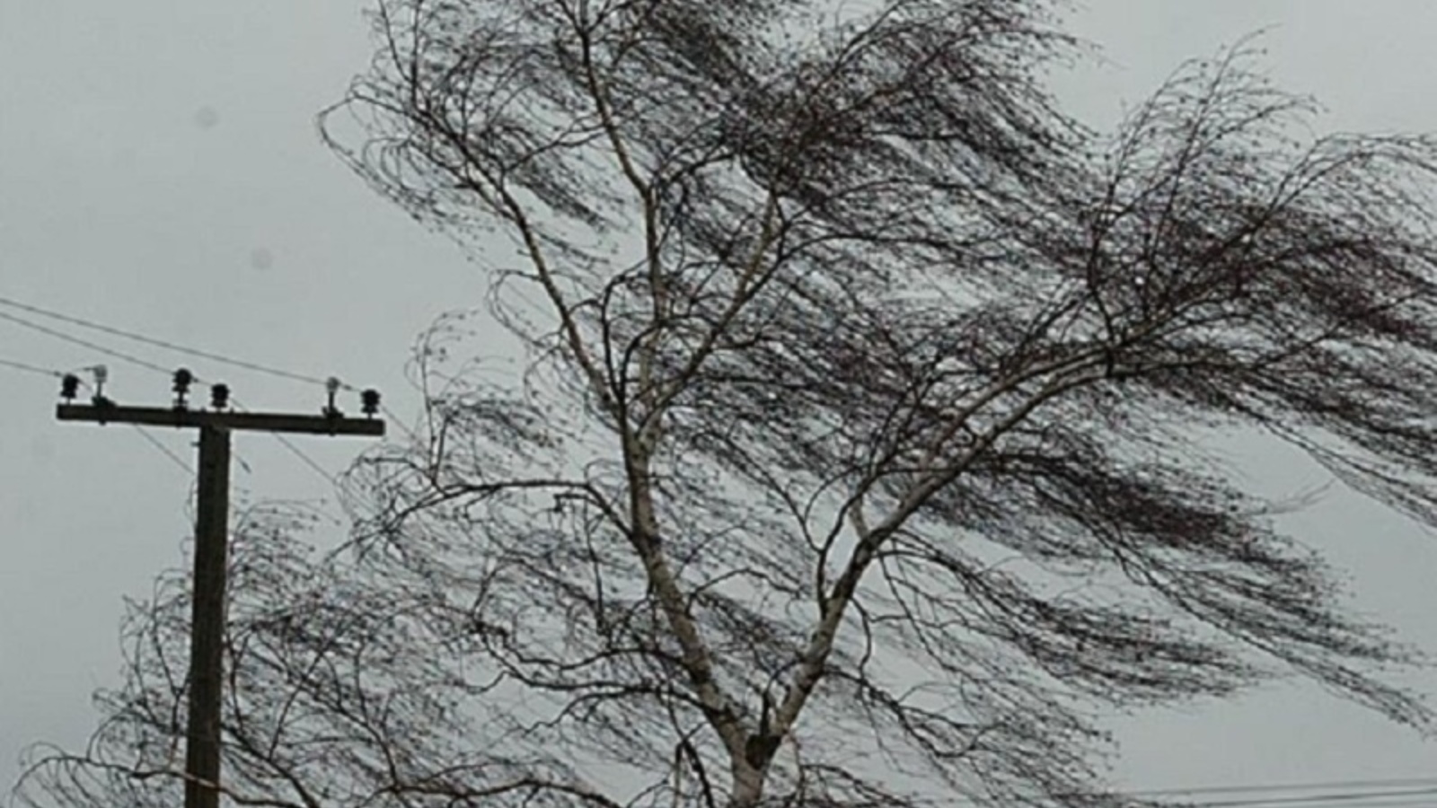Завтра ожидается сильный ветер. Усиление ветра. Сильный ветер. Завтра ожидается сильный ветер. Завтра ожидается сильный ветер.